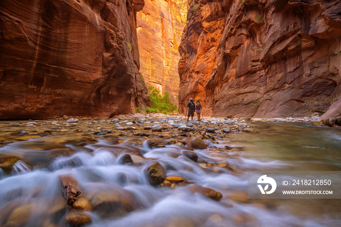 Amazing landscape of canyon in Zion National Park, The Narrow