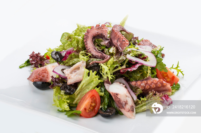 Salad with squid and octopus on a white background