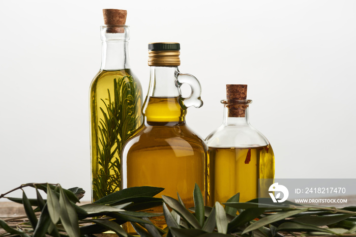 bottles of olive oil flavored with rosemary, and olive tree branch isolated on grey