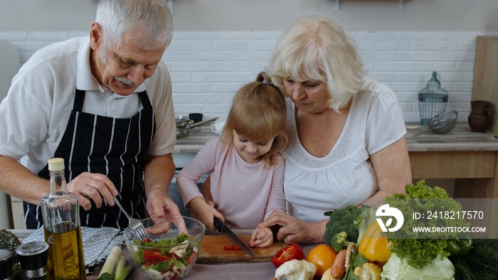 年迈的祖父母在厨房里教孙子女如何做沙拉，切红辣椒