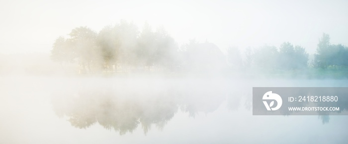 浓雾中的森林湖风景如画。水面倒影。纯金的