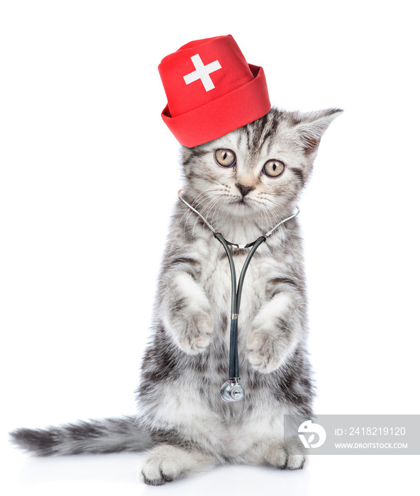 Kitten with stethoscope on his neck standing on hind legs. isolated on white background