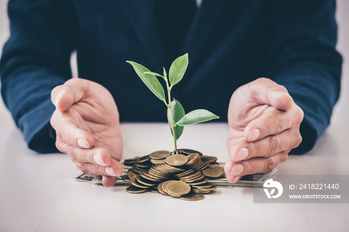 Hands of businessman protection plant sprouting growing from golden coins and banknotes, business in