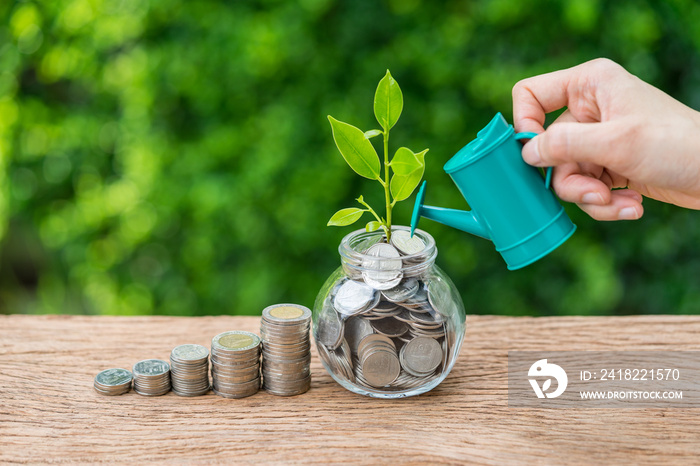 Business finance or growth investment concept with stack of coins and growth sprout plant and hand w