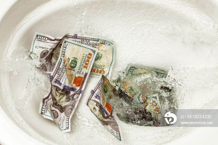 Loss of money. Bad investment or investment. Cash dollars are flushed into the toilet