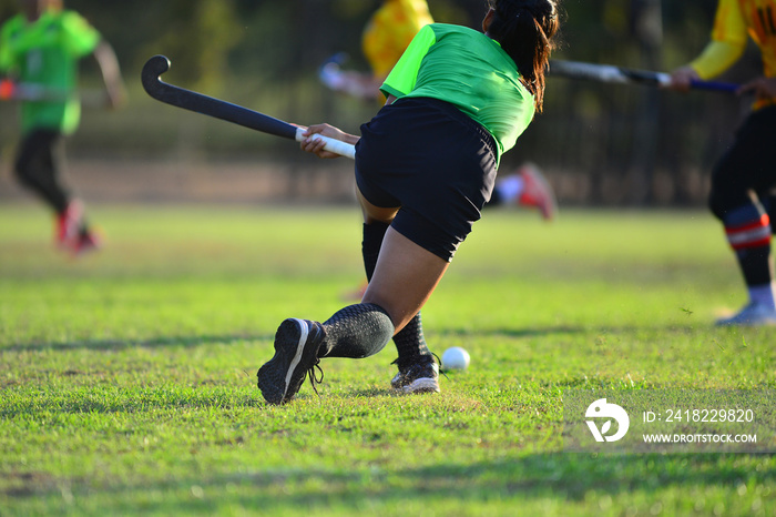 woman hockey playing hockey in the green field