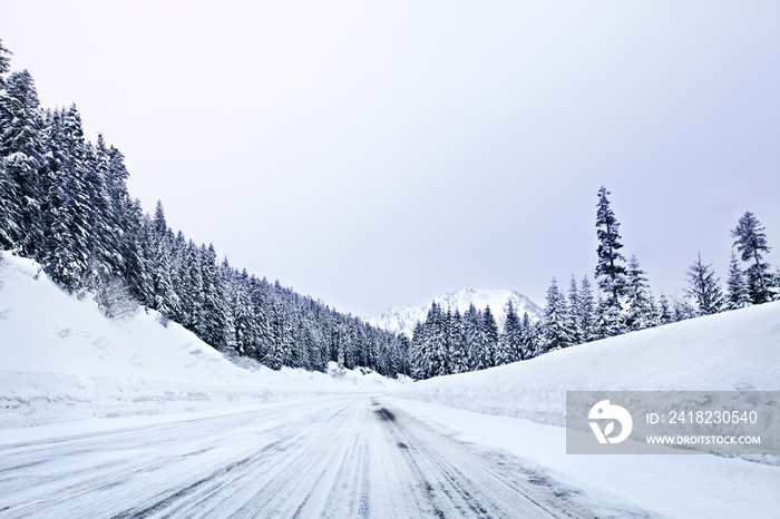 蓝天下松树间的雪路