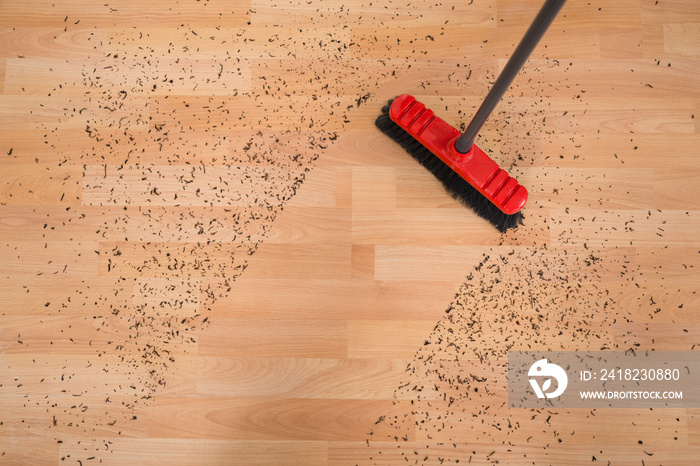 硬木地板上的扫帚清洁污垢