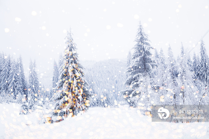 神奇的圣诞树点亮冬季背景