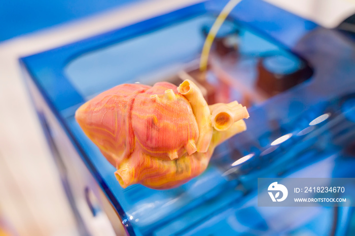 human heart printed on 3d printer