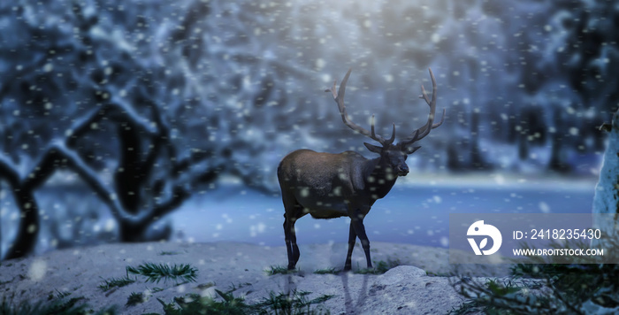 Elk is ready for the winter in a snow falling dark snow-covered forest.