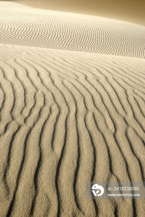 Migrating sand dunes formations in Denmark, Råbjerg mile.