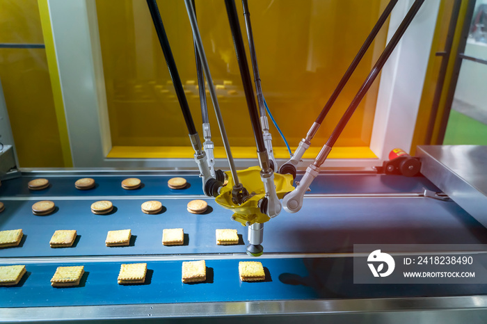 automate robot with vacuum suckers with conveyor in Production of biscuits in a manufacture factory 