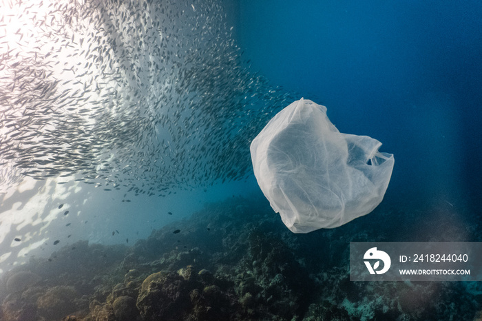 浅礁中的一次性塑料和鱼群。塑料是造成污染的主要原因