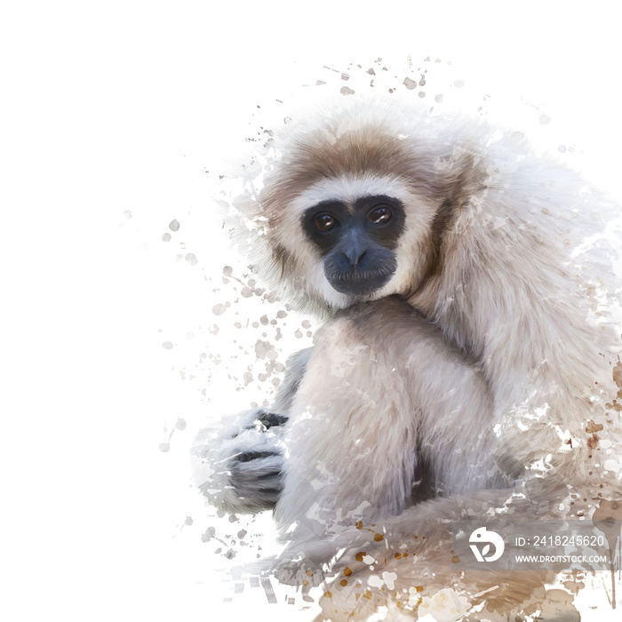 Watercolor Portrait of White-handed gibbon