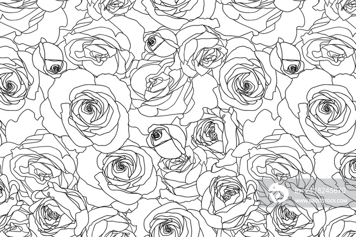 Beautiful floral pattern. Line art roses background