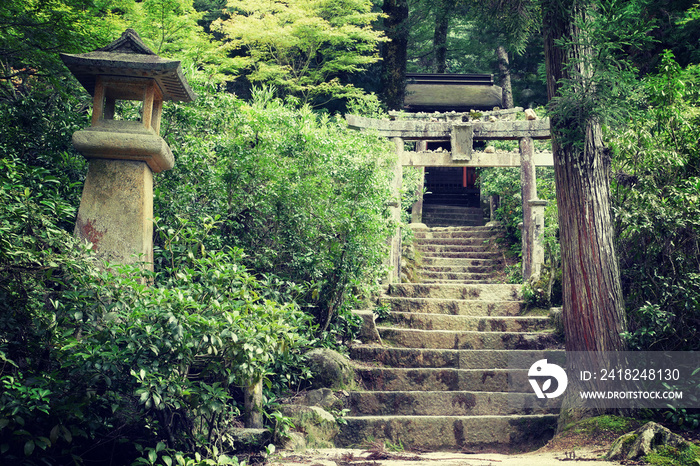 森の中の古い石段と鳥居