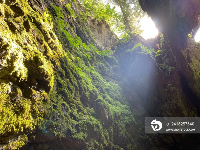 Ice cave in the forest park Golubinjak, Sleme - Gorski kotar, Croatia (Ledena spilja u park šumi Gol