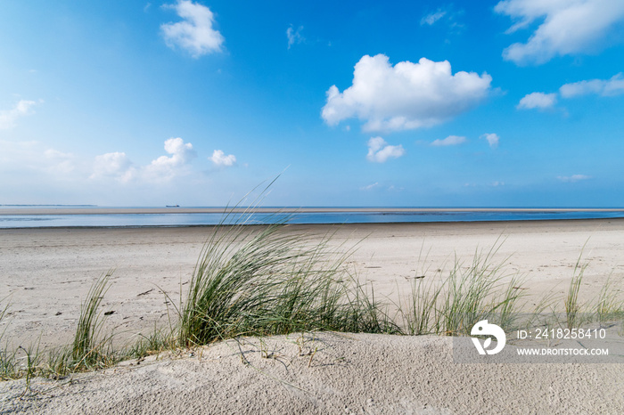 Nordsee, Strand auf Langenoog: Dünen, Meer, Entspannung, Ruhe, Erholung :)