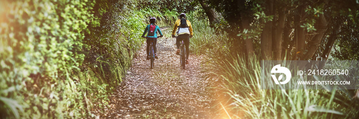 Rear view of biker couple cycling in countryside