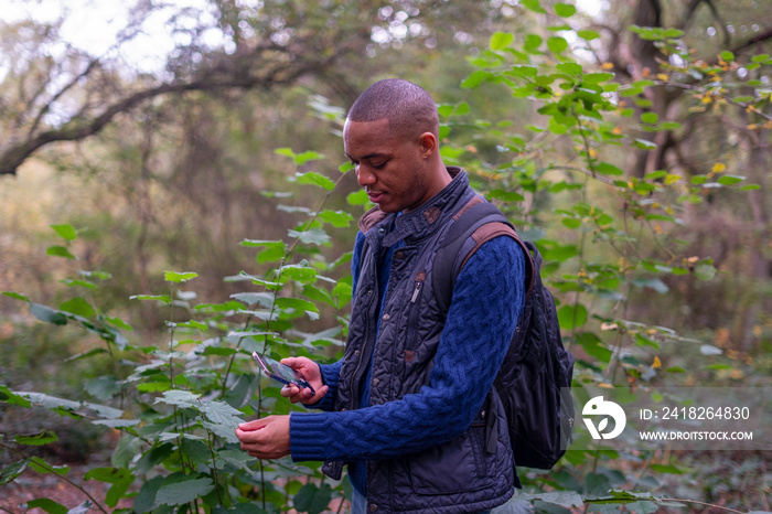 Man checking a name of tree on smart phone during nature walk in forest