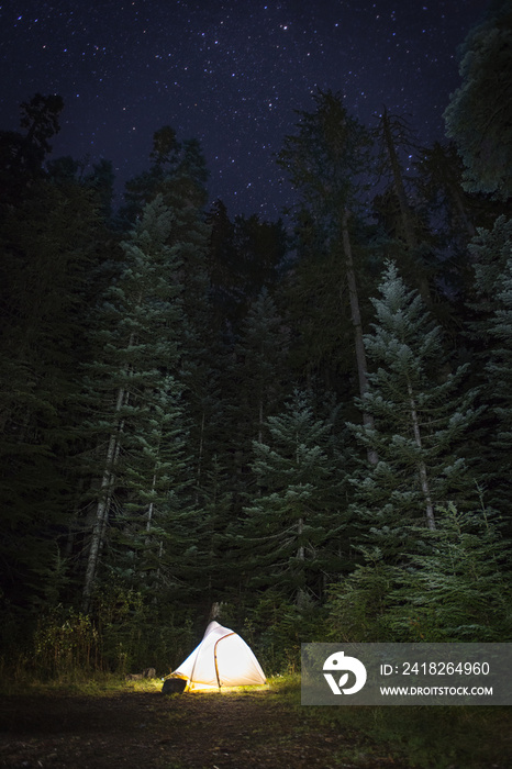 夜间在森林中靠树的照明帐篷