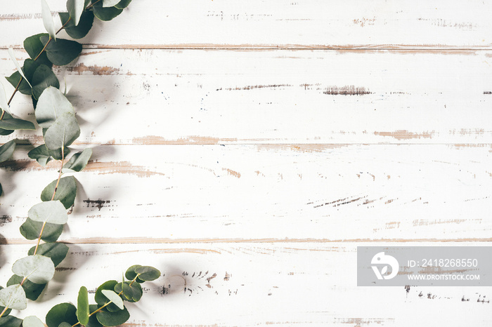 Frame made of eucalyptus branches on white wooden background. Top view. Mock up