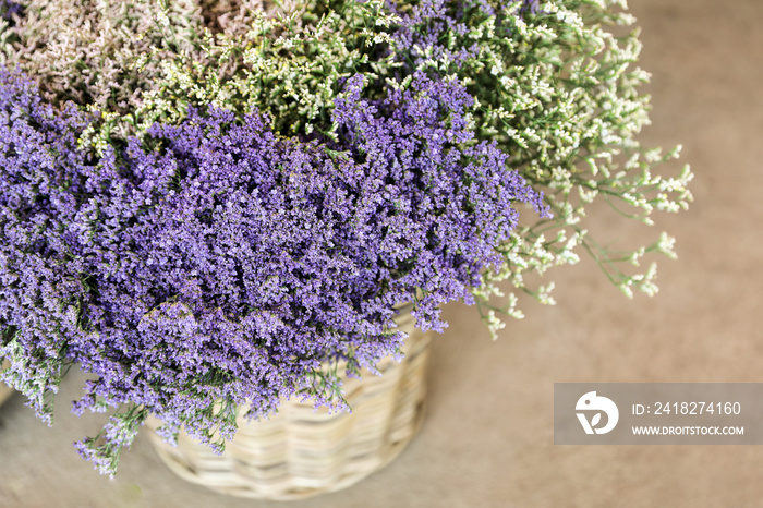 In a wicker basket limonium gmelinii, statice or sea lavender flowers in lavender-blue and white col