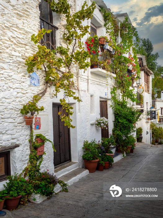 Capileira, typical village of the Alpujarra, Sierra Nevada in Spain.