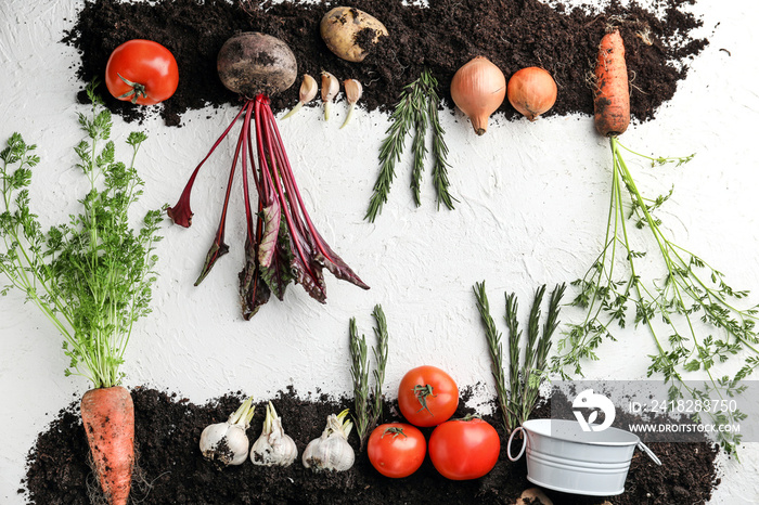 Different vegetables and soil on white background