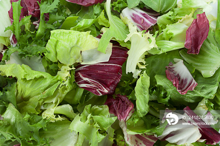 Fresh salad leaf slice background