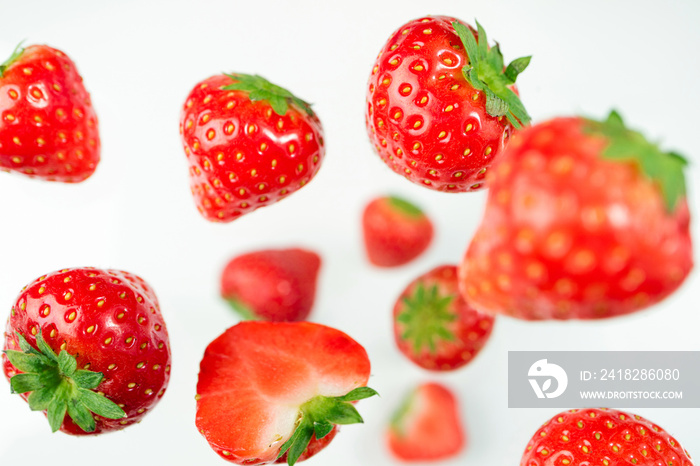 白色背景上的草莓俯视图。浆果图案。白色上掉落的草莓。创意十足