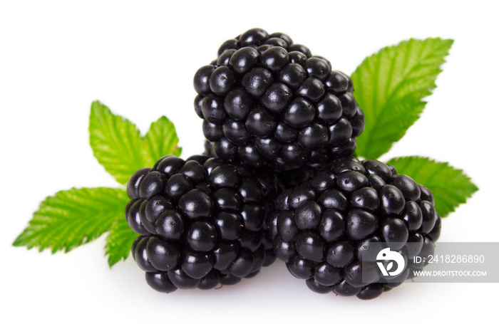 Fresh blackberry on white background