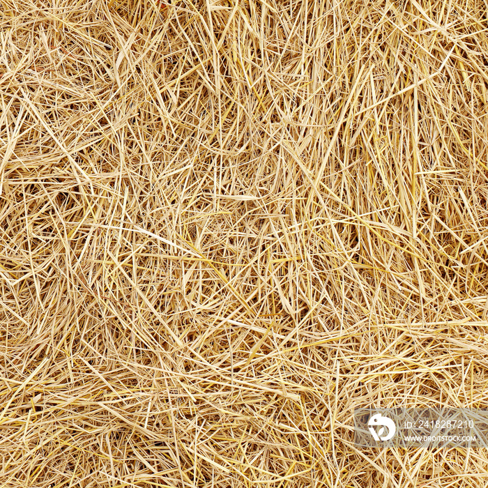 straw, dry straw, hay straw yellow background texture