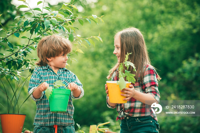 Planting flowers in pot. Pretty cute kids working and playing in beautiful garden. Little kids work 