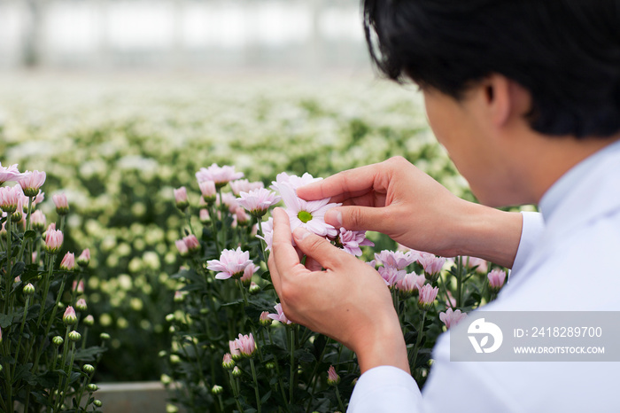 科学家在看花