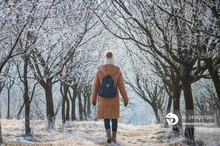 Woman wearing winter clothes and backpack. Female tourist walking at frozen tree alley in cold weath