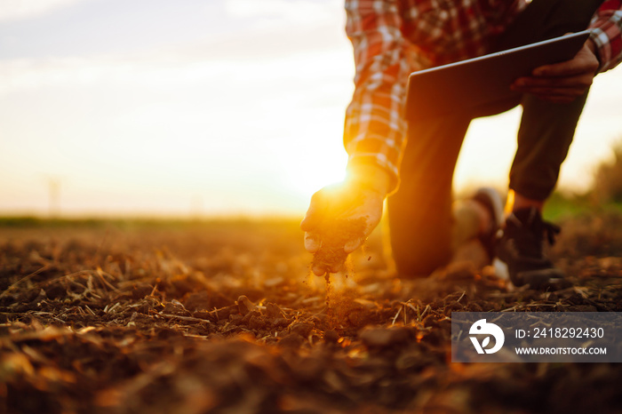 Hand of expert farmer collect soil and checking soil health before growth a seed of vegetable or pla