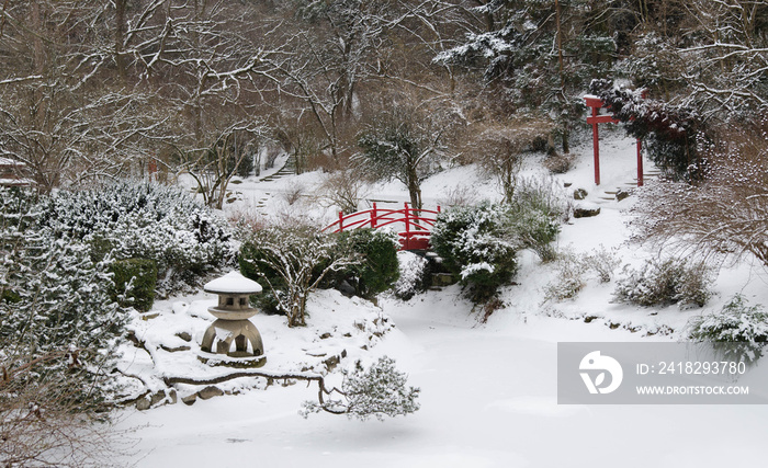 被雪覆盖的日本花园