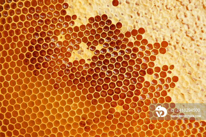 honeycomb texture with honey