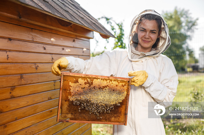 年轻的女养蜂人拿着蜂窝木框架。收集蜂蜜。养蜂概念
