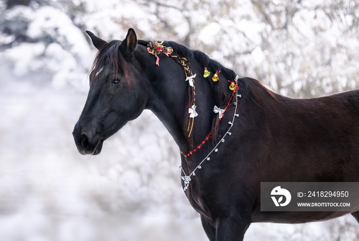 Horse posing in Christmas decorations against the backdrop of snow in winter