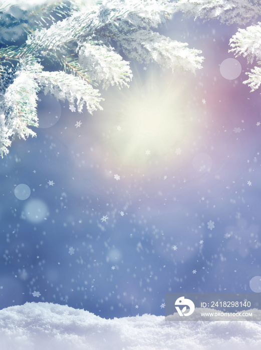 美丽的白雪皑皑的冬季景观，有白雪皑峋的冷杉树枝、雪花和蓝天。冬季圣诞节