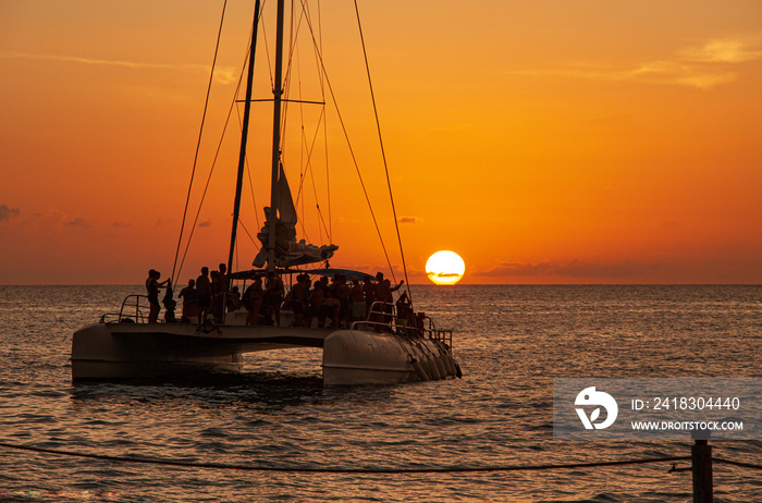Catamaran sails at sunset