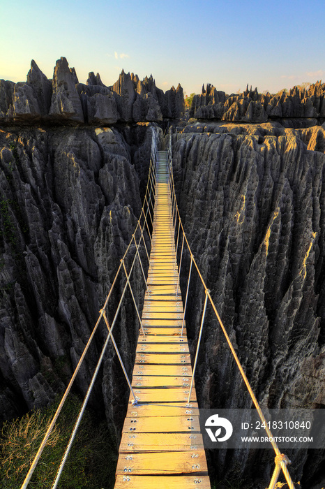 Beautiful HDR view on the bridge over the canyon at the Tsingy de Bemaraha Strict Nature Reserve in 