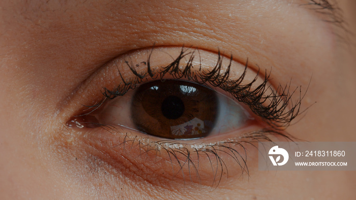 Extreme closeup of human eye in front of camera, blinking and focusing eyesight. Brown eye with eyel