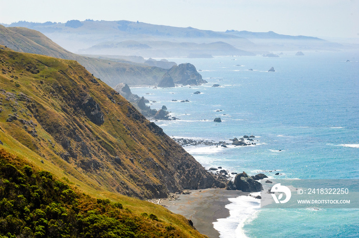 Sonoma Coast State Beach