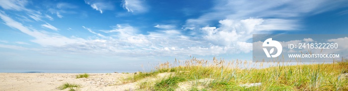 阳光明媚的夏日，波罗的海沙质海岸的全景。沙丘、绿草和平面图