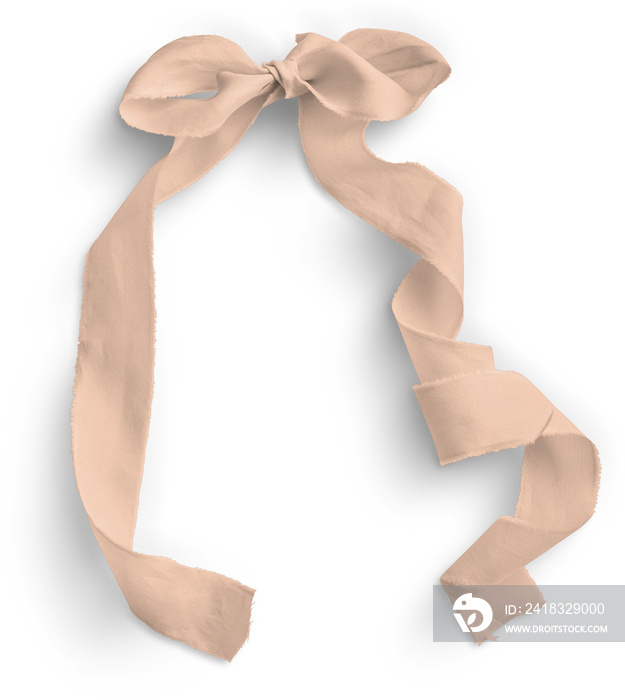 Ribbon Bow