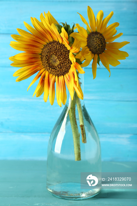 木制背景花瓶里美丽的向日葵